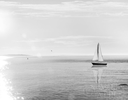 Picture of EVENING SAIL BLACK AND WHITE CROP