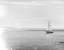 Picture of EVENING SAIL BLACK AND WHITE CROP