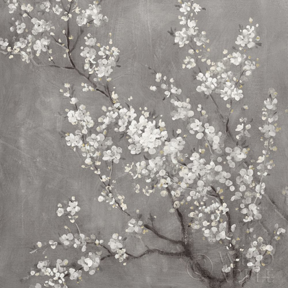 Picture of WHITE CHERRY BLOSSOMS II ON GREY CROP