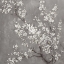Picture of WHITE CHERRY BLOSSOMS II ON GREY CROP