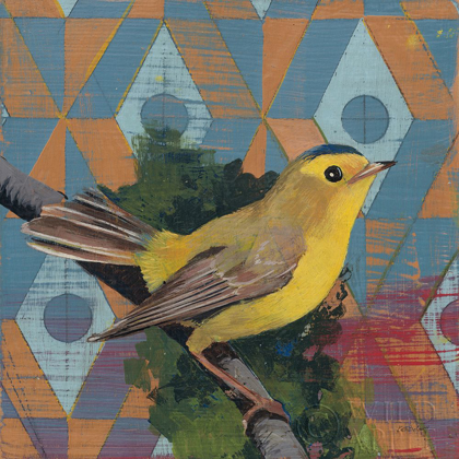 Picture of WILSONS WARBLER