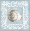 Picture of SANDY SHELLS BLUE ON BLUE SNAIL