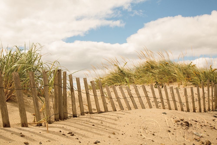 Picture of BEACH DUNES I