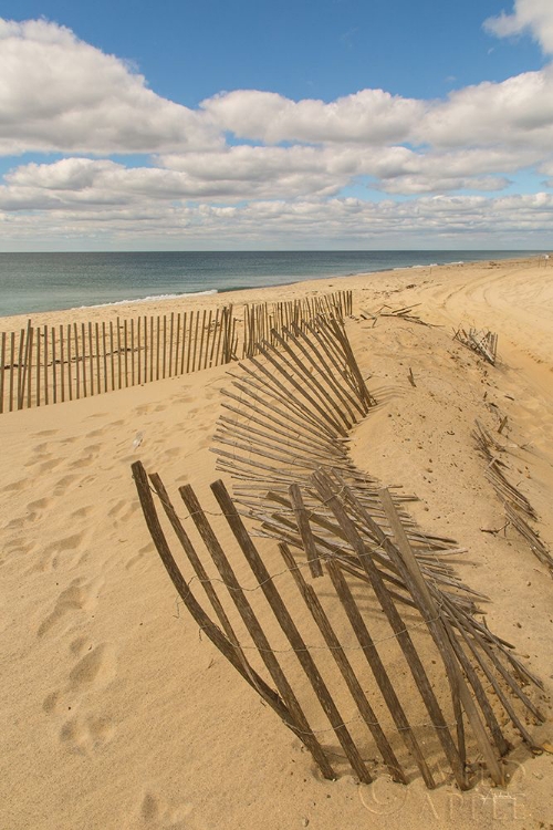 Picture of BEACH DUNES II