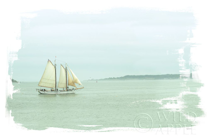 Picture of SAILING ON THE BAY