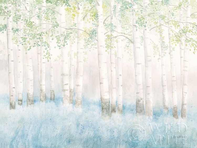 Picture of SOFT BIRCHES