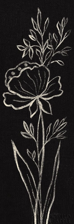 Picture of BLACK FLORAL III CROP