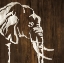 Picture of WHITE ELEPHANT ON DARK WOOD