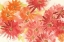 Picture of FLOWERS AFIELD II