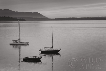 Picture of BELLINGHAM BAY BW
