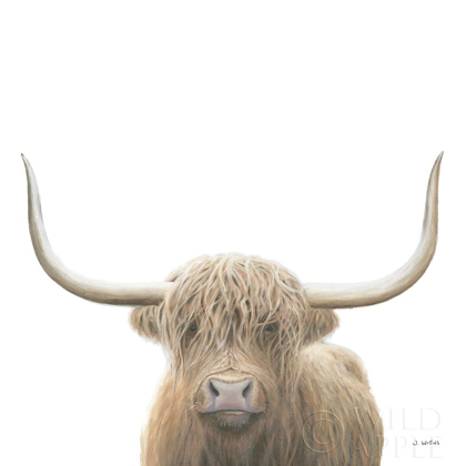Picture of HIGHLAND COW SEPIA SQ