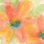 Picture of TINTED COSMOS I