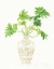Picture of PALM CHINOISERIE III CREAM