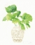 Picture of PALM CHINOISERIE IV CREAM