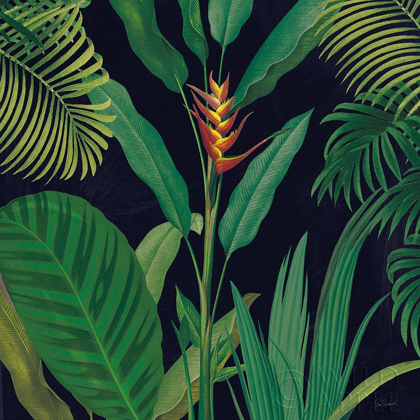 Picture of DRAMATIC TROPICAL II