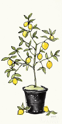 Picture of CITRON V