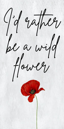 Picture of WILD FLOWER