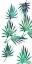Picture of WILD TROPICS 2