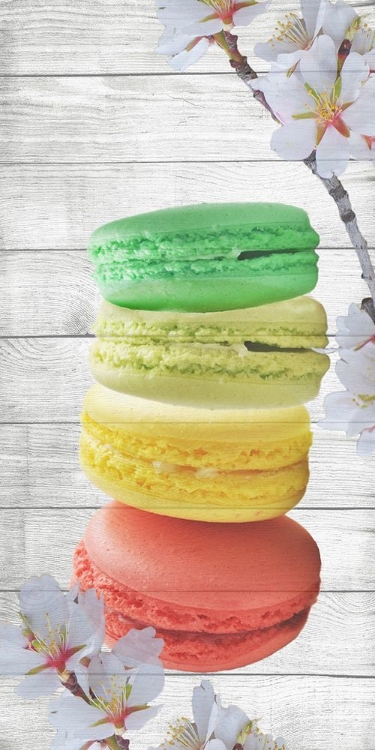 Picture of MACARON 1
