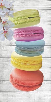 Picture of MACARON 