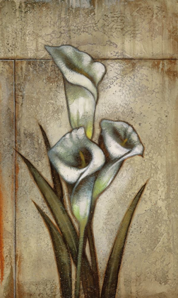 Picture of UNEXPECTED BEAUTY II