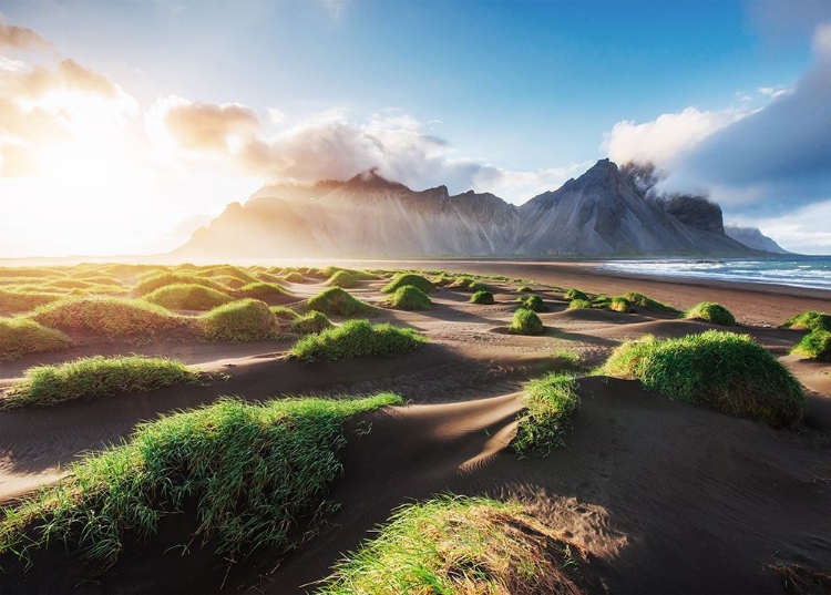 Picture of DUNES WITH A FANTASTIC VIEW