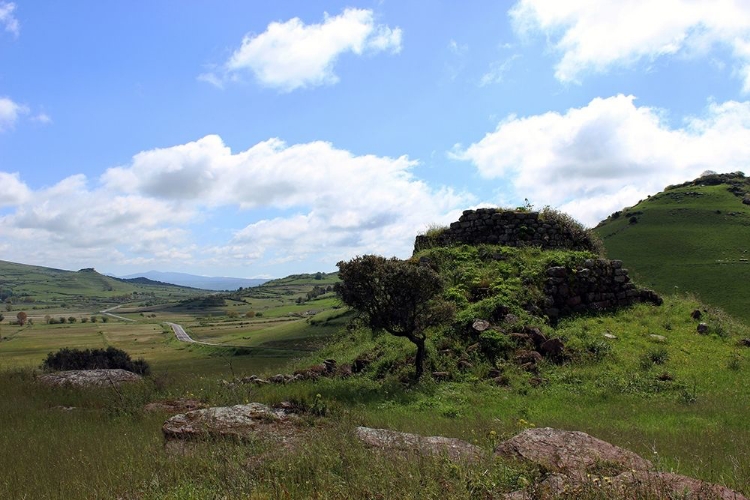 Picture of COUNTRYSIDE-SARDINIA-PHOTO-GREEN