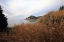 Picture of RELAXING VIEW FROM THE COAST WITH WILD PLANTS