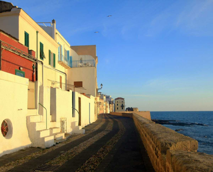 Picture of RELAXING WALK ON ALGHERO BASTIONS WITH SEA VIEW AND SEAGULLS