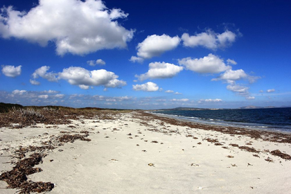 Picture of RELAXING BEACH WITH WHITE SAND UNDER A CLOUDY BLUE SKY