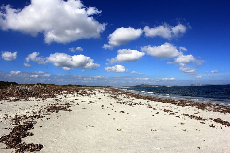 Picture of RELAXING BEACH WITH WHITE SAND UNDER A CLOUDY BLUE SKY
