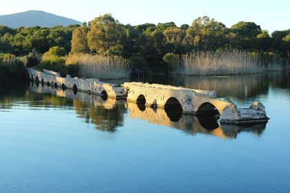 Picture of ANCIENT ROMAN BRIDGE ON THE POND 