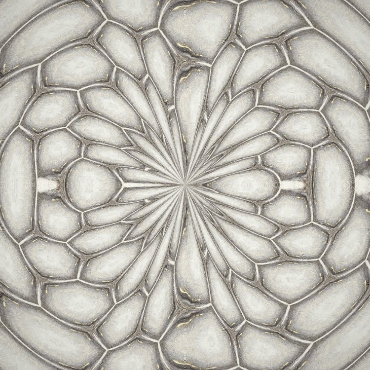 Picture of PATTERN I