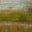 Picture of BY THE POND