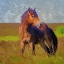 Picture of FREEDOM
