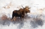 Picture of BULL MOOSE