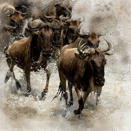 Picture of CROSSING THE RIVER