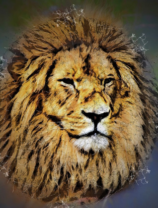 Picture of KING OF THE JUNGLE 