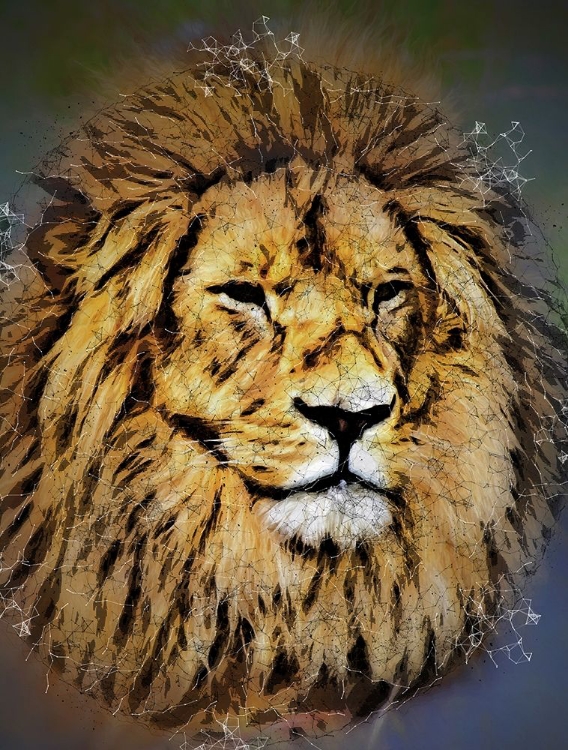 Picture of KING OF THE JUNGLE 