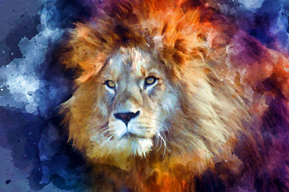 Picture of WATERCOLOR LION II