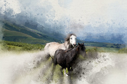 Picture of WILD HORSES I 
