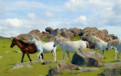 Picture of WILD HORSES II