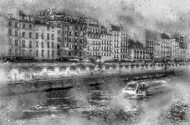 Picture of PARIS ON THE SEINE