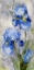 Picture of BLUE GARDEN I