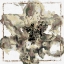 Picture of CALYX III