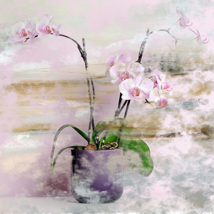 Picture of PINK ORCHIDS I