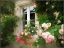 Picture of AMYS GARDEN