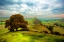 Picture of GREENERY OF SPRING