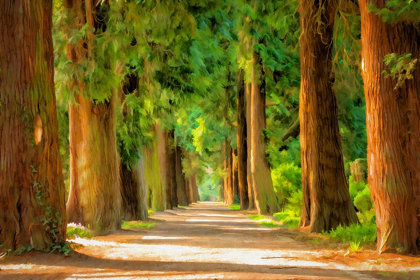 Picture of SHADY TREE LANE III