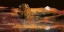 Picture of SUNSET REFLECTIONS